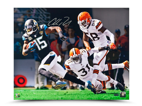 Allen Robinson Autographed "Break Away" 16 x 20 Photo