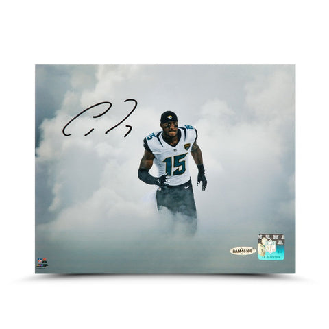 Allen Robinson Autographed "Emergence" 8 x 10