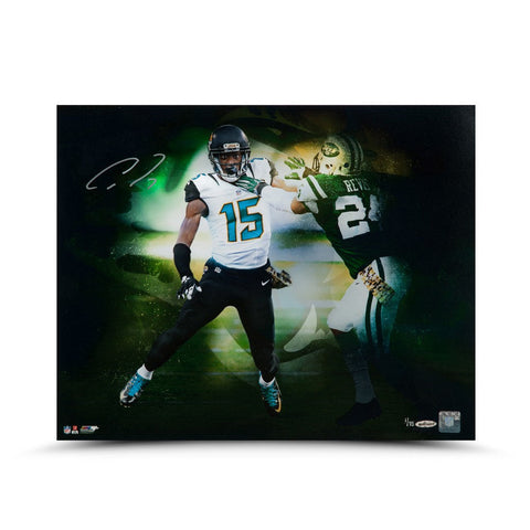 Allen Robinson Autographed "vs. Revis" 16 x 20