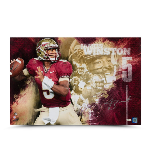 Jameis Winston Autographed "College Sensation" 16 x 24 Photo