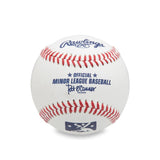 Michael Jordan Autographed Rawlings Minor League Baseball