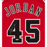 Michael Jordan Signed Chicago Bulls Mitchell & Ness 1995 Jersey