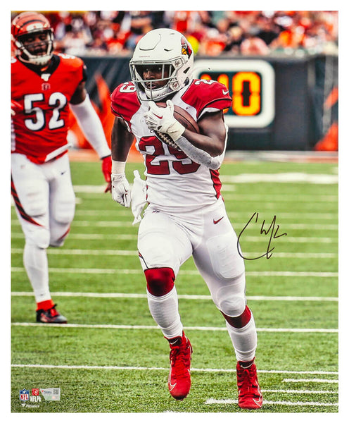 Chase Edmonds Signed Cardinals Action vs. Bengals 16x20 Photo (Fanatics COA)