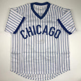 Autographed/Signed Andre Dawson Chicago White Pinstripe Baseball Jersey JSA COA