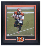 Joe Burrow Autographed Bengals "Roll Out" Framed 16" x 20" Photo Fanatics