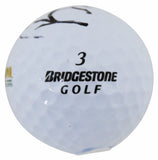 Brian Gay Authentic Signed Bridgestone WM Open Logo Golf Ball JSA #AX48090