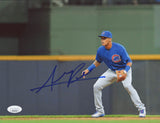 Addison Russell Signed Chicago Cubs 8x10 Photo (JSA COA)