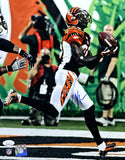 Chad Johnson Signed 11x14 Cincinnati Bengals Photo BAS