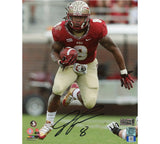 Devonta Freeman Signed Florida State Seminoles Unframe 8x10 Photo - Running