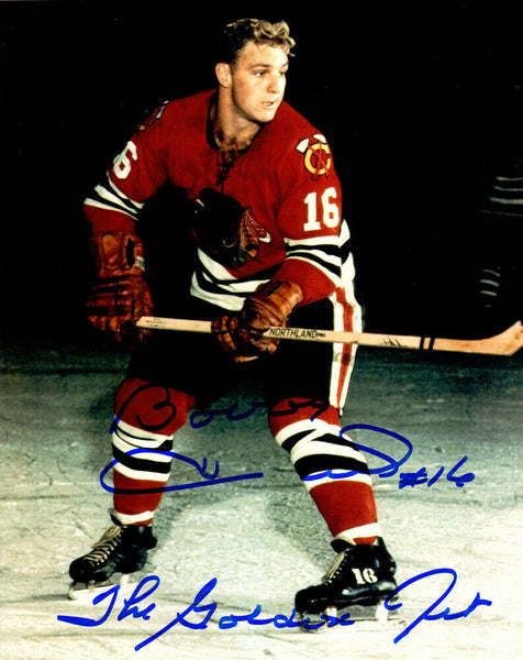 BOBBY HULL Signed Chicago Blackhawks Color 8x10 Photo w/The Golden Jet -SCHWARTZ