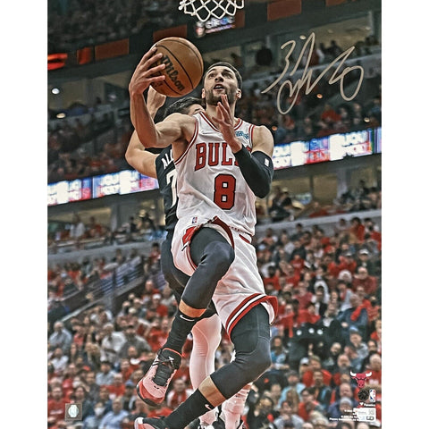 Zach Lavine Autographed/Signed Chicago Bulls 16x20 Photo FAN 47010