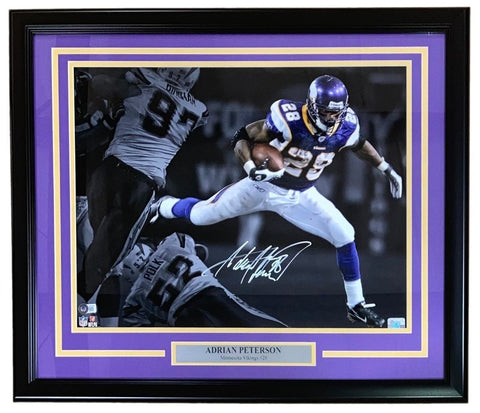 Adrian Peterson Signed Framed 16x20 Minnesota Vikings Spotlight Photo BAS