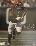 Ja'Marr Chase Autographed Cincinnati Bengals 16x20 Photo Beckett 44095