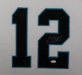 DJ D.J. Moore (Panthers white SKYLINE) Signed Autographed Framed Jersey JSA