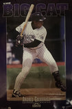 Andres Galarraga Signed Colorado Rockies 35x23 Big Cat Poster BAS 45003