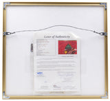 Bjorn Borg Andre Agassi Signed Framed 1992 Nationsbank Classic Golf Flag JSA LOA