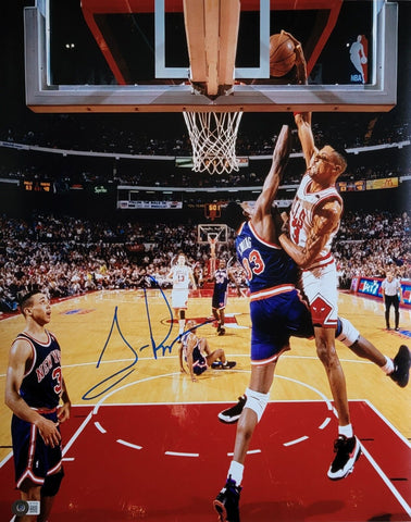 Scottie Pippen Autographed Chicago Bulls Slam Dunk 16X20 Photo Beckett Witnessed