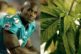 Ricky Williams Signed Dolphins Full-Size Helmet "Hitting Holes & Smoking Bowls"