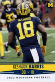 National Champion Michigan Wolverines 35x43 Framed Jersey Display Signed by 11
