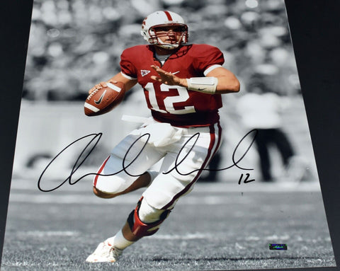 ANDREW LUCK AUTOGRAPHED STANFORD CARDINAL 16x20 SPOTLIGHT PHOTO PANINI