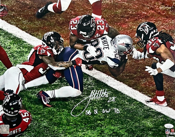 James White New England Patriots Signed Super Bowl LI GW TD Inscribed 16x20 JSA