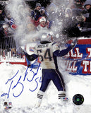 Tedy Bruschi Signed/Auto 8x10 Photo New England Patriots PSA/DNA 189041