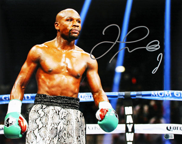 Floyd Mayweather Authentic Signed 16x20 Horizontal Photo w/ Green Gloves BAS