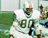 1972 Miami Dolphins Perfect Season Jersey Signed 18 / Griese, Csonka, Buoniconti