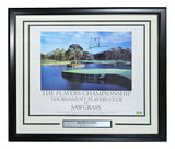 Tiger Woods Signed Framed 16x20 PGA TPC Sawgrass Poster BAS LOA