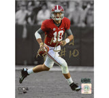 AJ McCarron Signed Alabama Crimson Tide Unframed 8x10 NCAA Photo - Spotlight