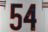 BRIAN URLACHER (Bears white TOWER) Signed Autographed Framed Jersey Beckett HOF