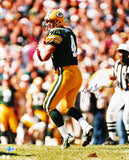 Packers Brett Favre Authentic Signed 16x20 Vertical Photo BAS #BN73503