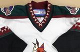 Coyotes Wayne Gretzky Signed CCM Doug Brewer Hand Painted Jersey JSA #YY53017