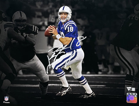 Peyton Manning Signed Indianapolis Colts 11x14 Spotlight Photo Fanatics