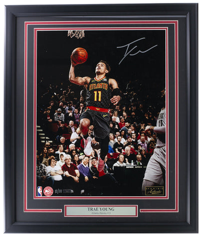 Trae Young Signed Framed Atlanta Hawks 16x20 Basketball Clean Look Photo Panini