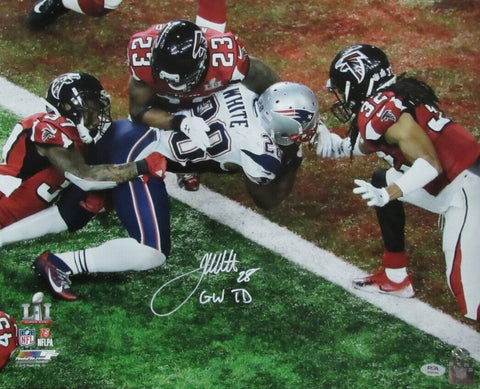 James White Signed/Autographed 16x20 Photo Patriots PSA/DNA 192342