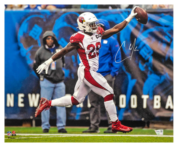 Chase Edmonds Signed Cardinals Celebrating With Ball 16x20 Photo (Fanatics COA)