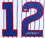 Kyle Schwarber Signed Cubs 35"x43" Custom Framed Jersey (MLB ) 2016 World Champ