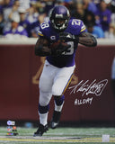 Adrian Peterson Autographed Minnesota Vikings 16x20 Photo Beckett 37119