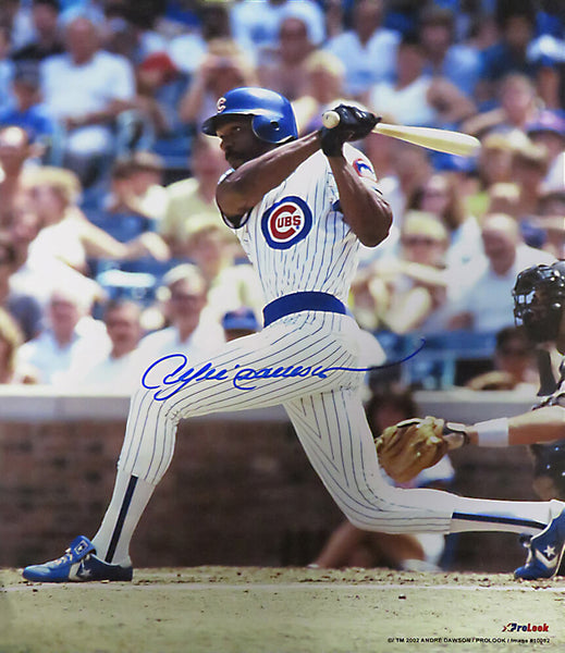 Andre Dawson Signed Chicago Cubs Batting Action 8x10 Photo - SCHWARTZ COA