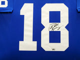 COLTS PEYTON MANNING AUTO FRAMED MITCHELL & NESS JERSEY FANATICS HOLO 203487