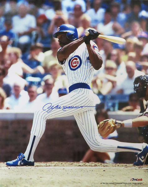 Andre Dawson Signed Chicago Cubs Batting Action 16x20 Photo - SCHWARTZ COA