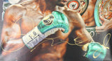 Floyd Mayweather Autographed/Signed Boxing 20"x24" Canvas 26372