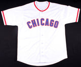 Bruce Sutter Signed Cubs Jersey Inscribed "HOF 06" & 79 CY" (JSA Hologram)