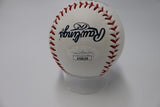 DJ Lemahieu Autographed Ball (JSA Hologram) signed in sharpie