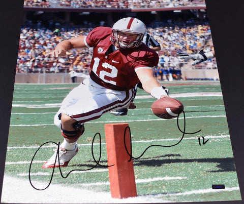 ANDREW LUCK SIGNED AUTOGRAPHED STANFORD CARDINAL 16x20 PHOTO PANINI