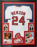 FRAMED ST LOUIS CARDINALS WHITEY HERZOG AUTOGRAPHED SIGNED JERSEY JSA COA