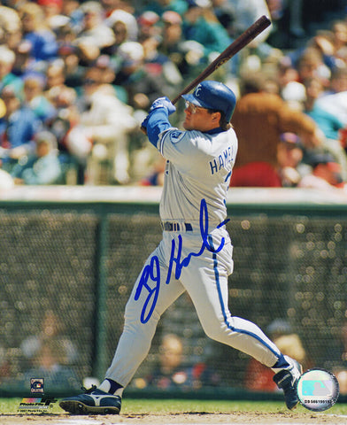 Bob Hamelin Signed Kansas City Royals Batting Action 8x10 Photo -(SCHWARTZ COA)