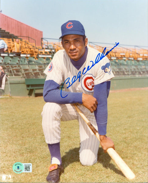 Cubs Billy Williams Authentic Signed 8x10 Vertical Kneeling Photo BAS