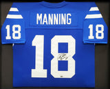 COLTS PEYTON MANNING AUTO FRAMED MITCHELL & NESS JERSEY FANATICS HOLO 203487